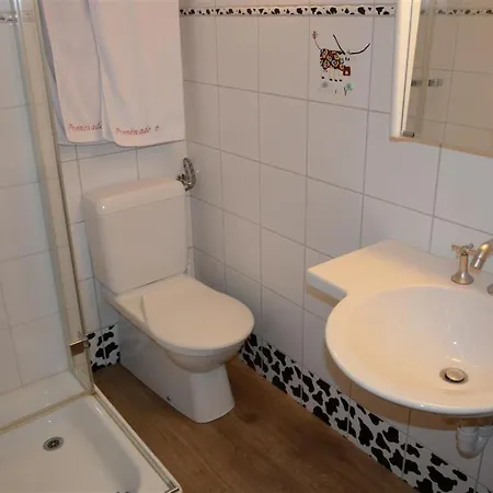 Le Vieux Appartement-fewo- Dusche Oder Bad- Wc 4-bettwohnung By Interhome Gstaad